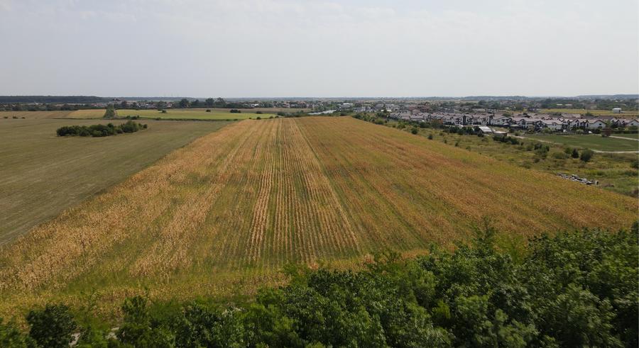 Oportunitate Investitie Teren 5.4HA Deschidere la Lac, Padure, Paradisul Verde