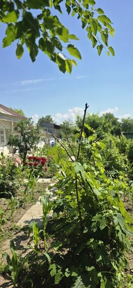 Casa cu teren 1111 metri patrati 39500 euro. Independenta, Galati - 4