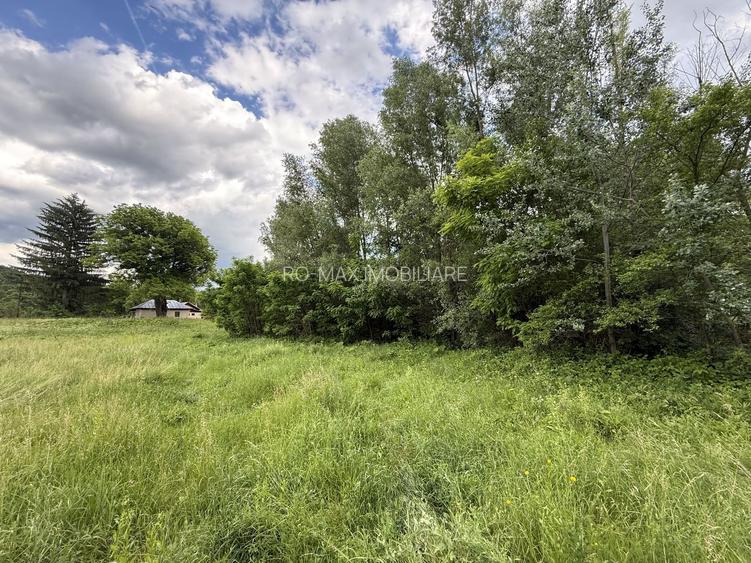 Teren plat-intravilan -3800 mp, cu pădurice și ieșire la râu! - 10