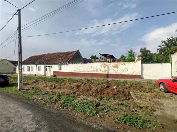 Socol | Casa 7 Camere | Parter + Pod | 546MP Teren - 3