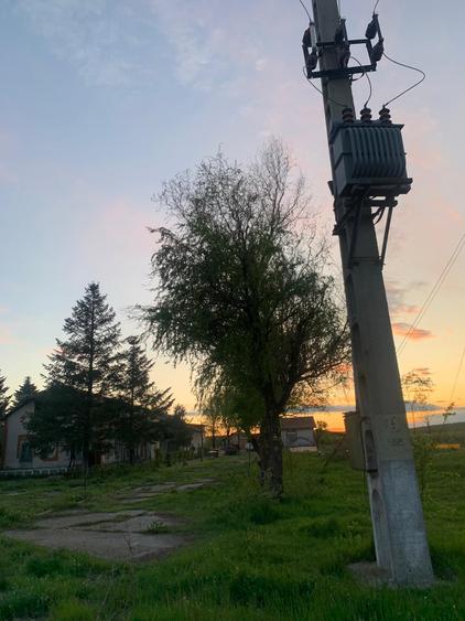 De Vânzare – Fermă de Pomi Fructiferi, 48,8 ha, Iancu Jianu, Jud. Olt