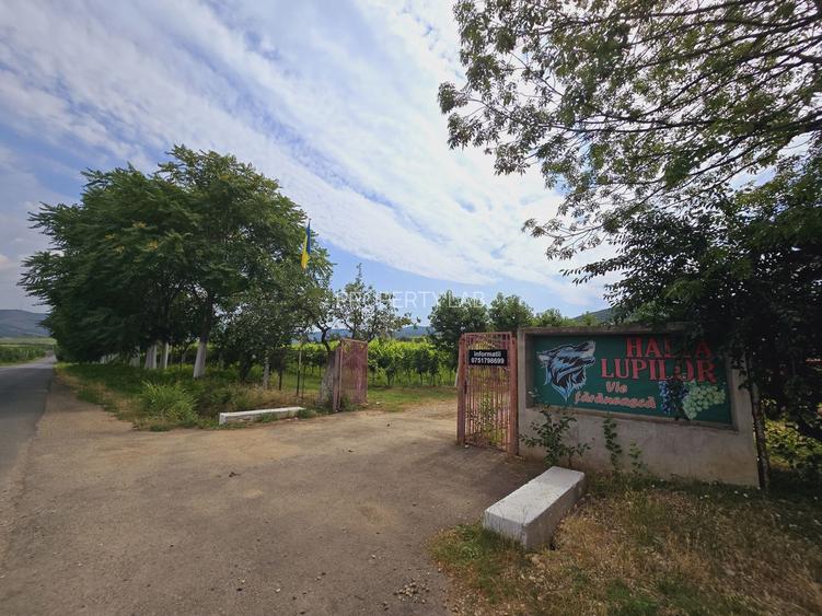Vie Tradițională „Halta Lupilor” - 24