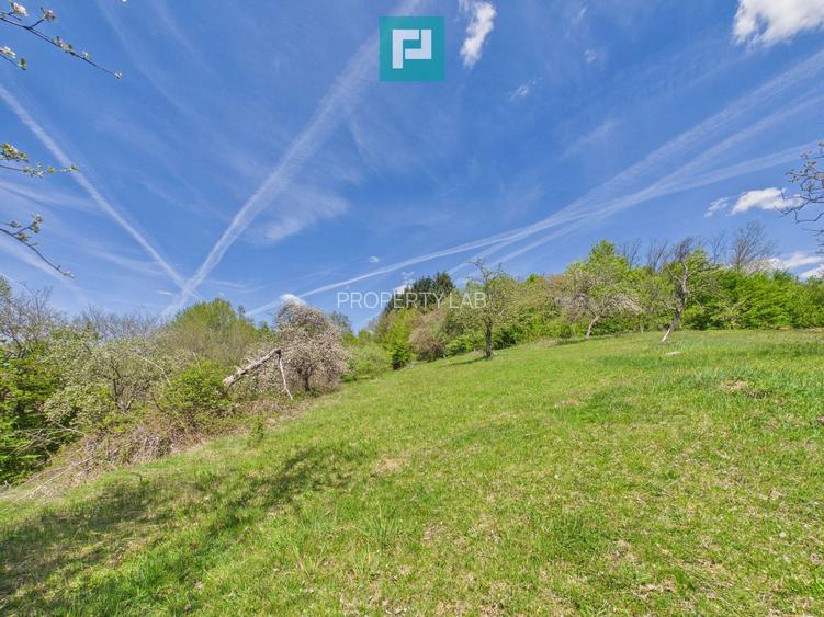 Proprietate rară cu 24.270 mp, în Măgulicea, Arad!