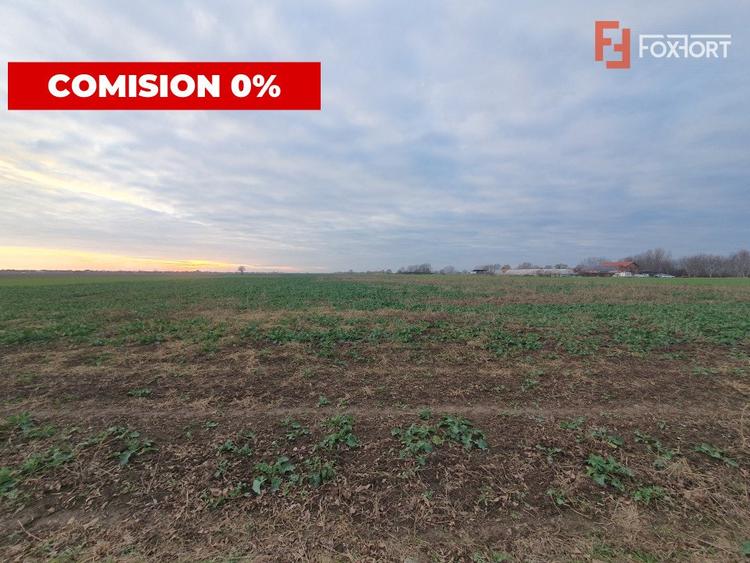 COMISION 0% Teren extravilan 20.000 mp la sosea in Sag