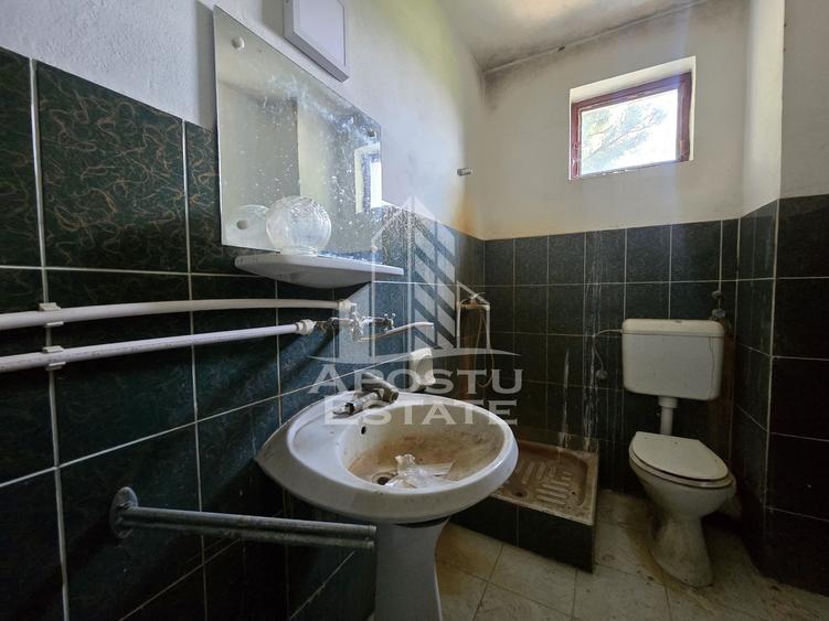 Casa de vanzare, potential pensiune, pe malul Timisului,Sag,comision 0