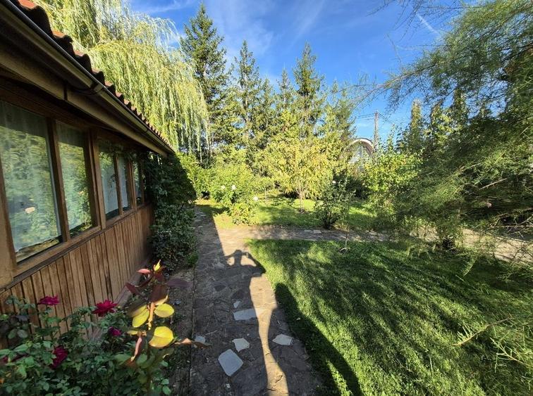 Cabana de lemn cu fundatie 86 mp+ livada pomi fructiferi+teren 847 mp