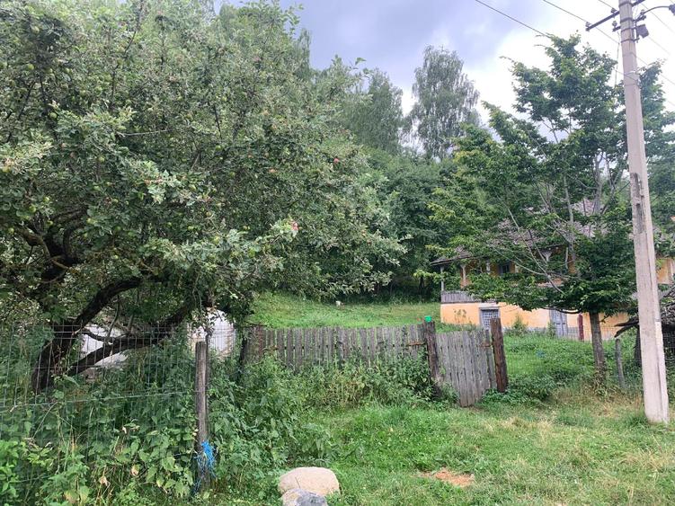 Teren construcție + teren fâneață + livada