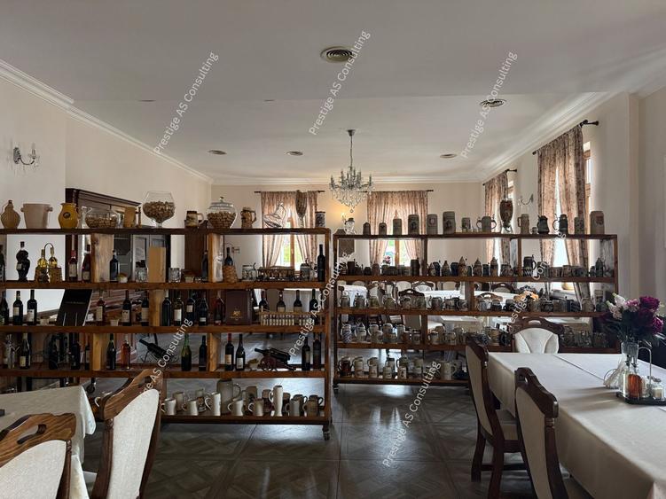 Pensiune cu restaurant si piscina | 730 mp | Investitie premium- Urseni