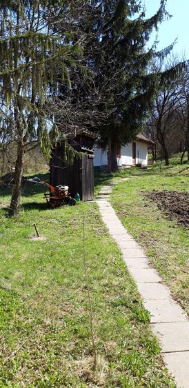 Vand teren intravilan in Campul-Cetatii S=1500mp.