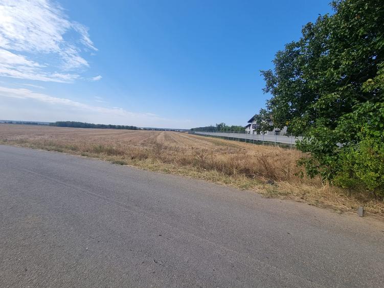 Snagov Gruiu intravilan
