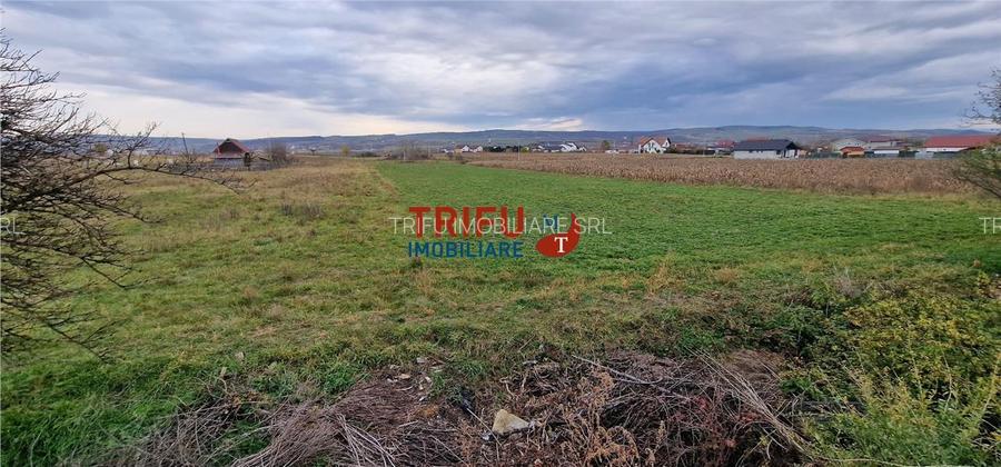 Teren 2160mp în  Partoș - 3