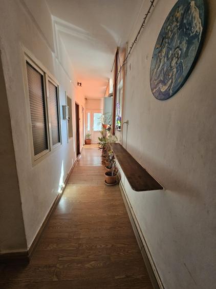 Elisabetin - Casa 4 Camere - Curte Comuna