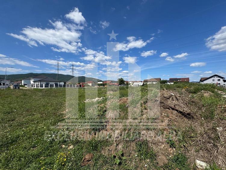 Teren intravilan | 450 mp | 13 ml deschidere | Alba-Micesti