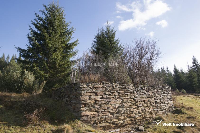 Eco Retreat Land in Apuseni Romania - Poiana Horea - 14