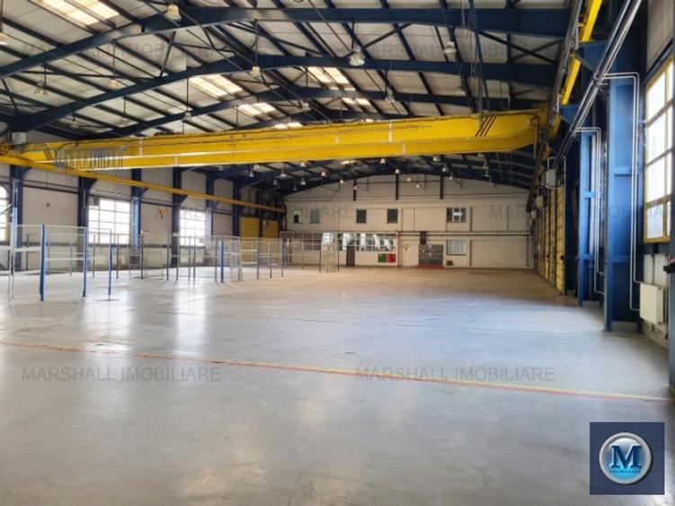 Spatiu industrial de vanzare in Campina, zona Central, 4600 mp #16268