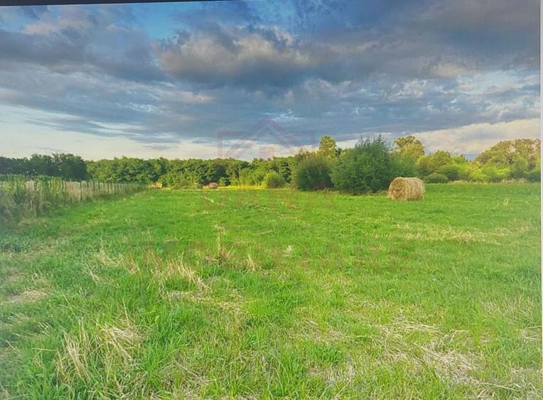 TEREN INTRAVILAN CU PUZ\ 704 MP\CARANSEBEȘ\ ZONA TEIUȘ