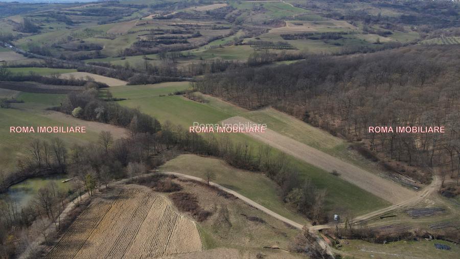 Teren superb de vânzare în Dumbrăvița – 3.750 mp - 4