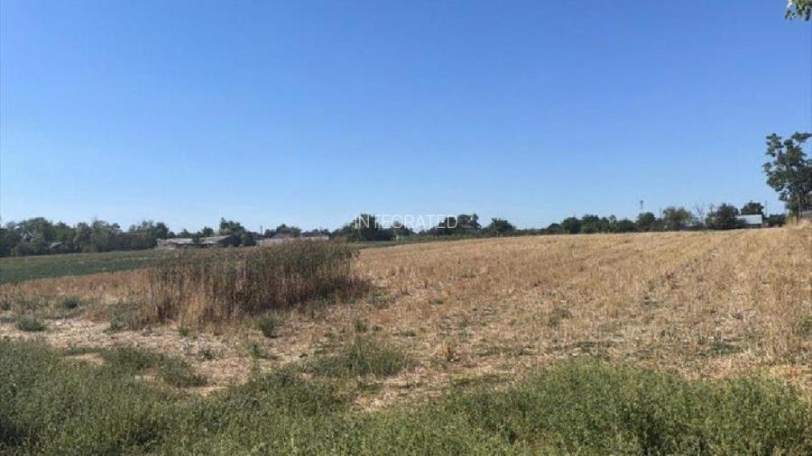 Teren intravilan - 4.000 mp, Loc. Roseti