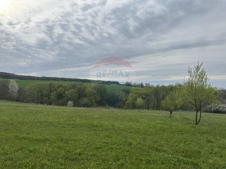 Teren 3,000mp Oslobeni / Strada Oslobeni punct GRADINA