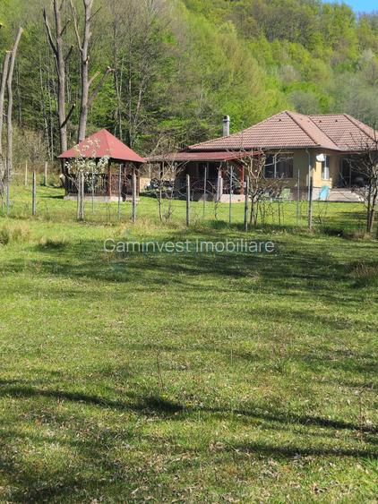 Teren intravilan de vanzare in Borod, 2000 mp, Bihor - 5