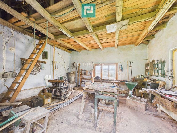 Proprietate rară cu 24.270 mp, în Măgulicea, Arad!