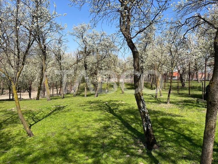 Teren intravilan imprejmuit 789mp UTILITATI URBANISM Poplaca - 4