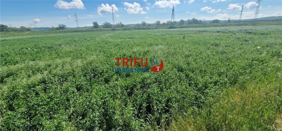 Teren de vanzare zona Soseaua de Centura