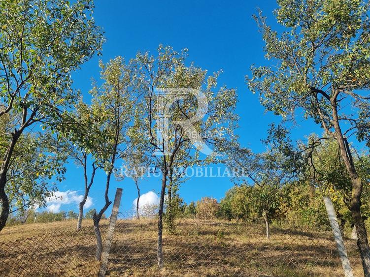 Casă renovata cu teren generos | Anexe | Gurasada | Hunedoara - 44