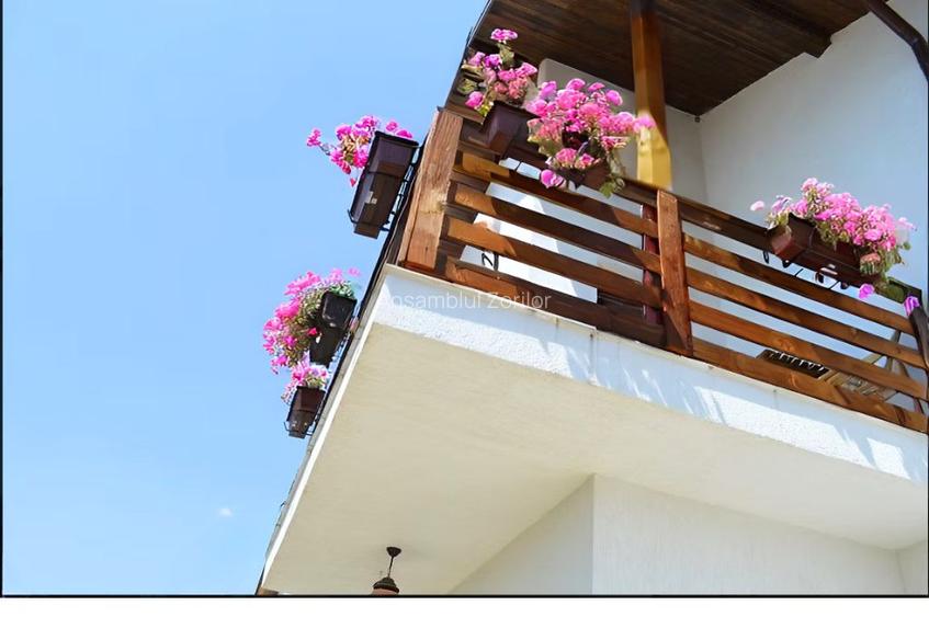 Sabareni Vila P+1, 425 mp teren,padure, terasa+pivnita,TVA inclus,predare rapida - 2