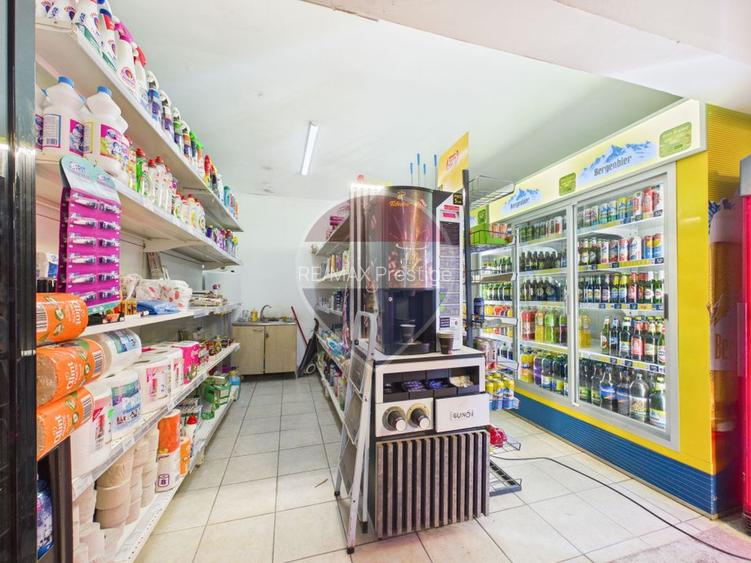 Casa cu 5 camere si magazin alimentar, functional, teren 1715 mp - 25