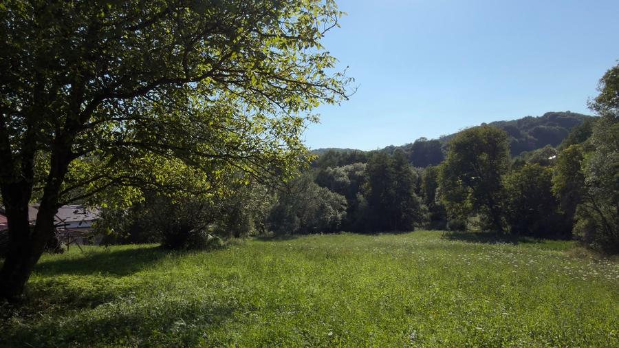 Teren Parau | Valea Danului, Curtea de Arges | Vidraru |