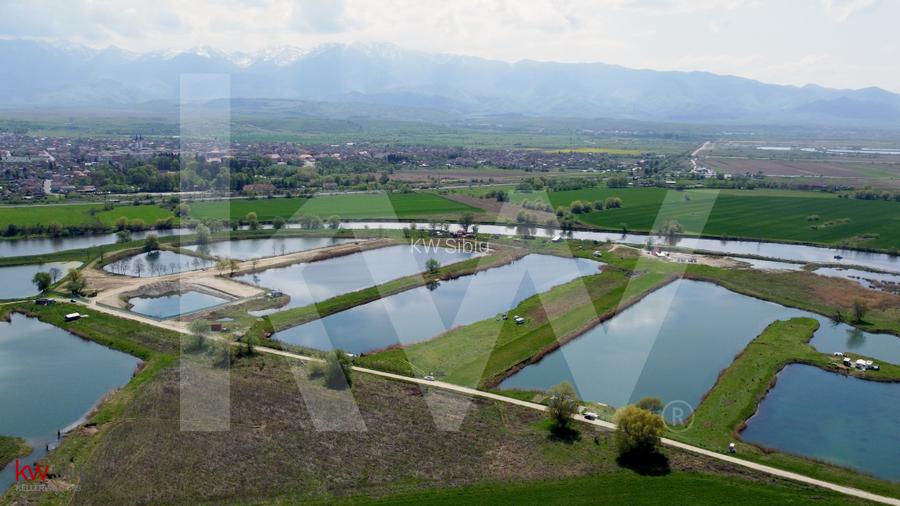 Teren Extravilan cu lac – Investiție în Natură și Agrement | 35.251 mp - 3