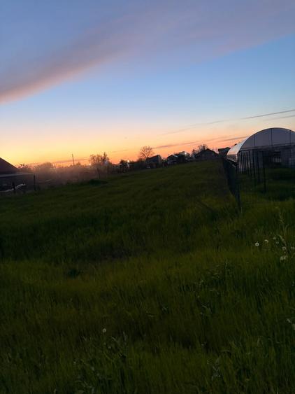 Teren Moara Vlasiei Intravilan 2 Parcele Padure