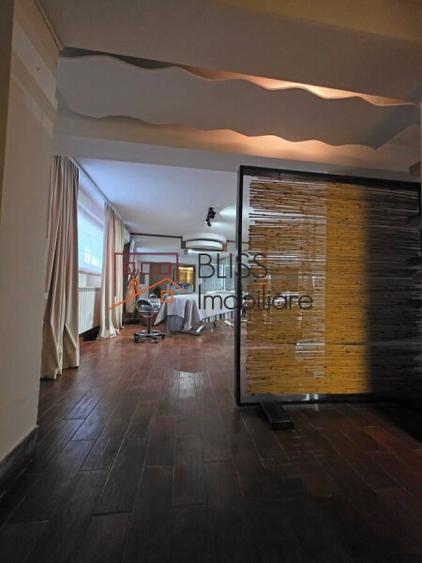 Vila 12 camere Nordului Herastrau rezidential comercial