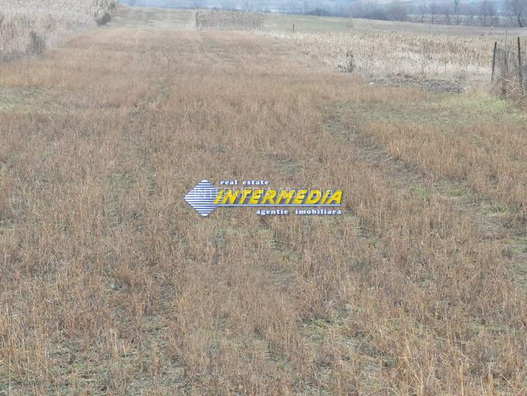 Teren intravilan 4200 mp de vanzare Alba Micesti cu utiliati langa - 3