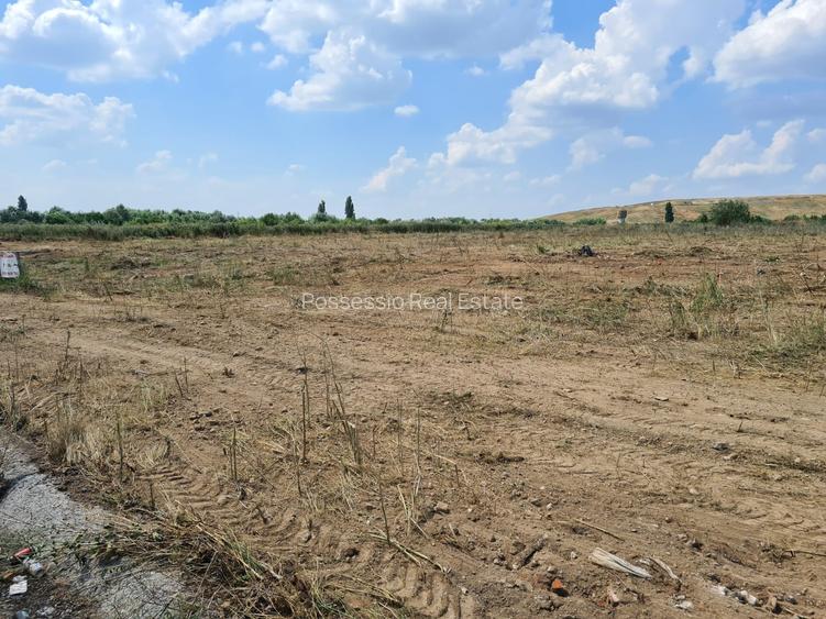 Giulesti -Chiajna , Drumul la Chiajna nr. 34 - Teren intravilan 1000 mp