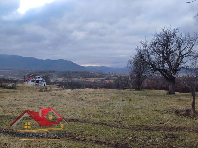 Teren Intravilan 3000 mp – Cisnădie