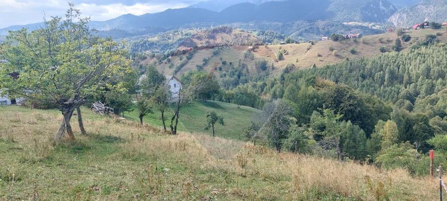 Teren de vânzare | Măgura, Brașov | Oportunitate de Investiție