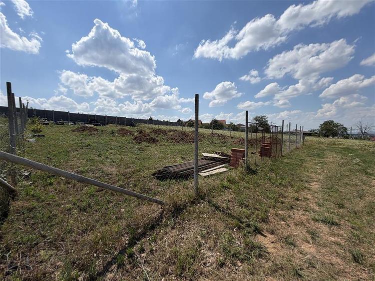 TEREN INTRAVILAN 586 MP | ZONA PALEU | BIHOR