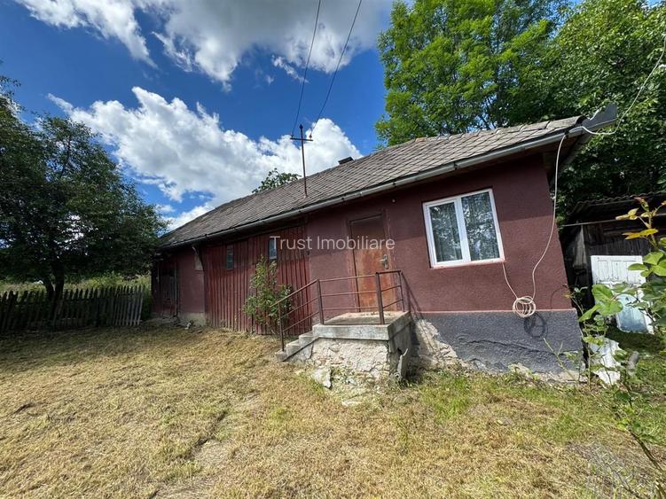 Casa de vanzare l Dangau Mare l 3135 MP Teren - 12