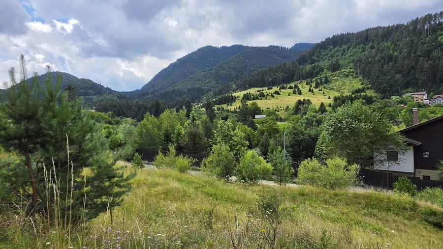 Teren intravilan cu vedere panoramica Sacele, Brasov