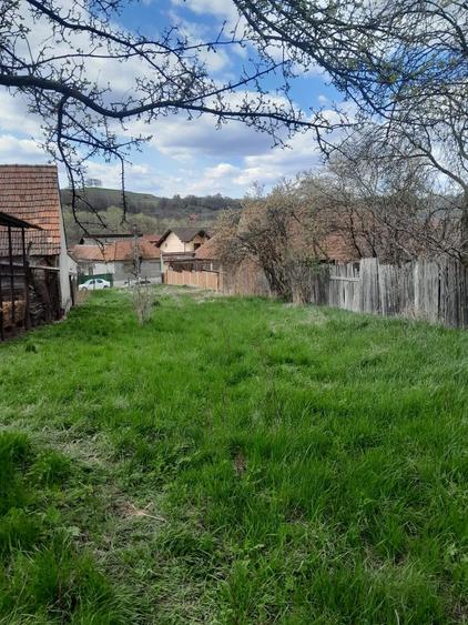 Teren de vanzare in Vaidei