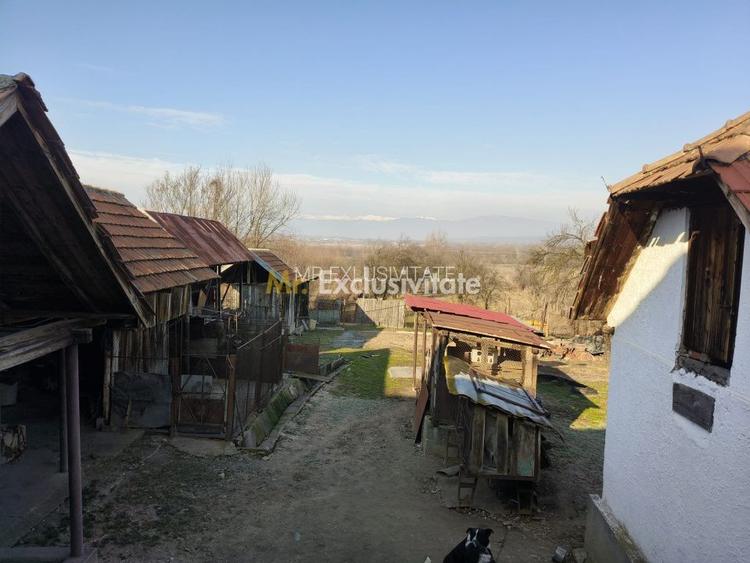 Proprietate cu potențial turistic și agricol | 7.661 mp|Șomanești-GORJ - 6