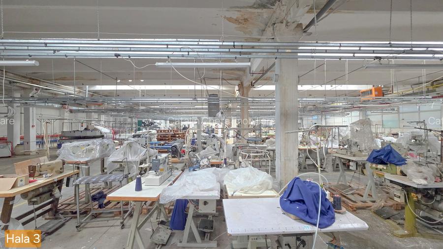 De inchiriat spatiu industrial in Turnu Magurele - Teleorman - 9