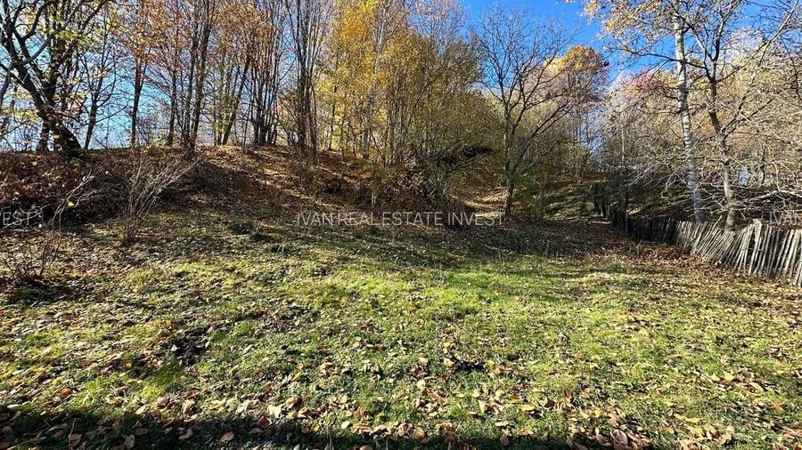 Teren 4044 mp, deschidere 60m, la 18 km de Campina, asfalt si curent - 5