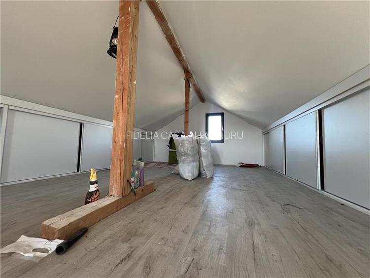 Casa la rosu, de vanzare in Lunca Cetatuii - 13