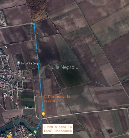 Teren 1070 mp Corbeanca in apropierea lacului - 4