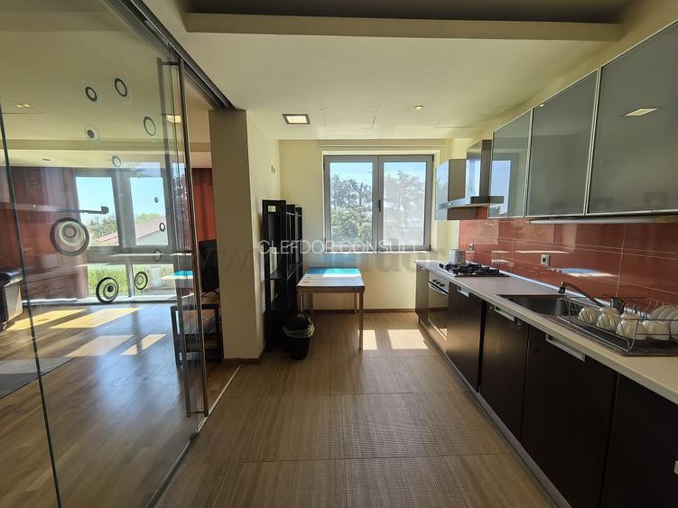 Apartament cu acces la piscina- Zona Iancu Nicolae - 10