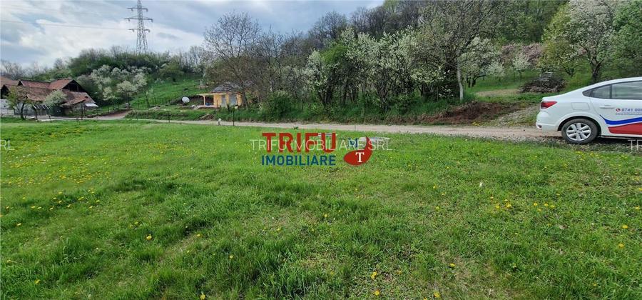 Teren de vis la liziera pădurii – liniște, natură și aer cur - 3