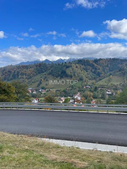 Teren extravilan cu priveliste catre Bucegi – Moieciu de Jos 4.700 mp - 5